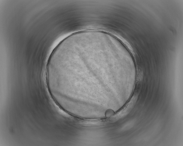 X0000113121486200909251102