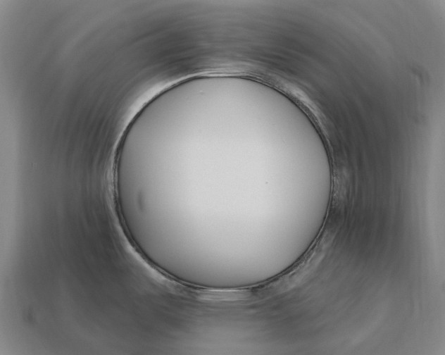 X0000113121487200909251102