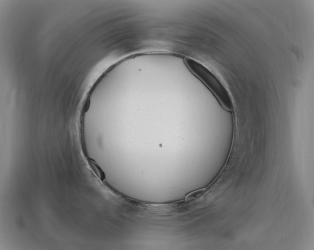 X0000113121488200909251102