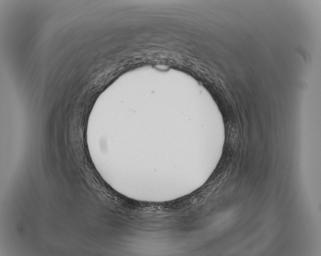 X0000113121489200909251102