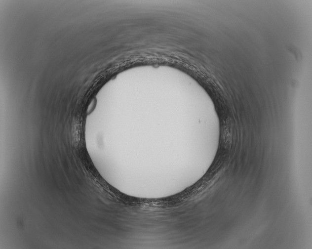 X0000113121490200909251102