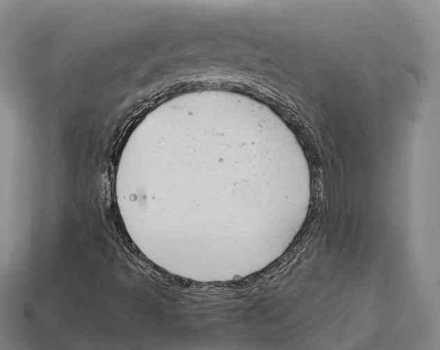 X0000113121493200909251102