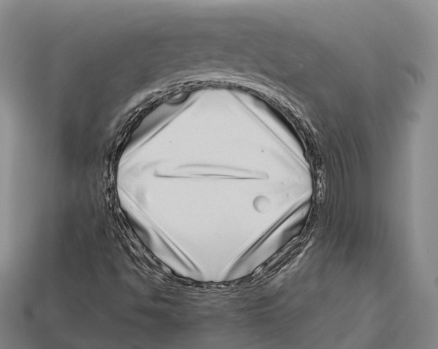 X0000113121494200909251102