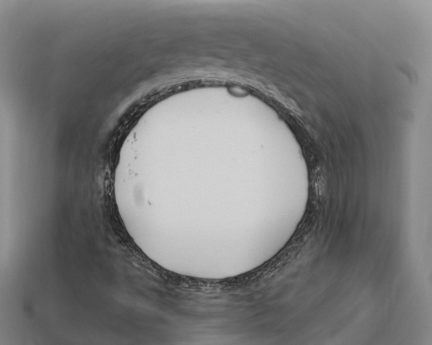 X0000113121495200909251102