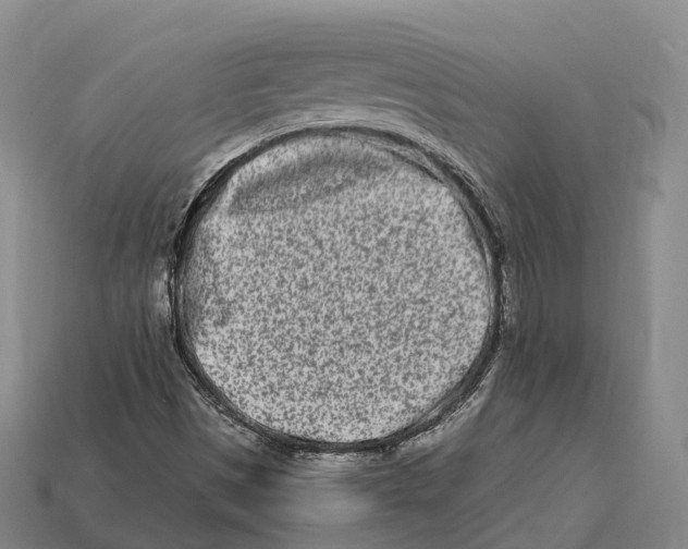 X0000113121497200909251102