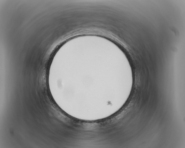 X0000113121498200909251102