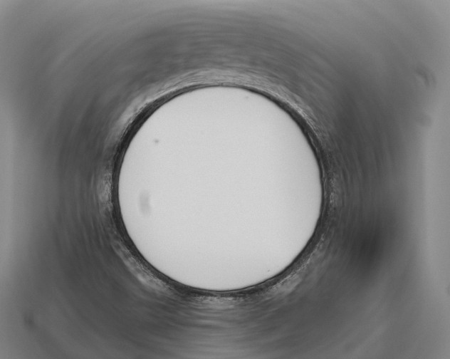 X0000113121499200909251102