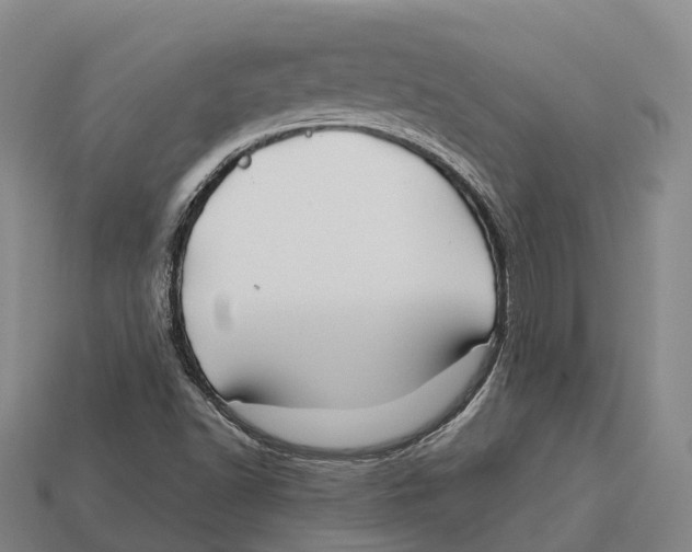X0000113121502200909251102