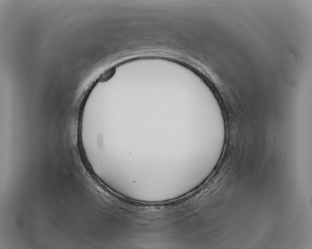 X0000113121504200909251102