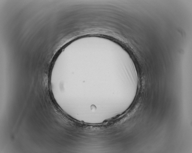 X0000113121505200909251102