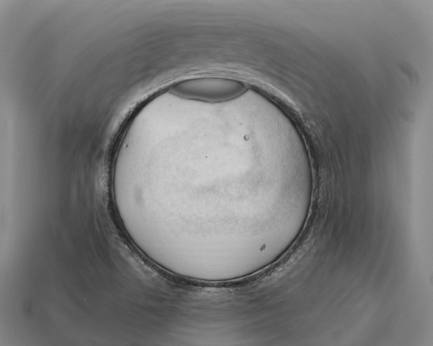 X0000113121506200909251102