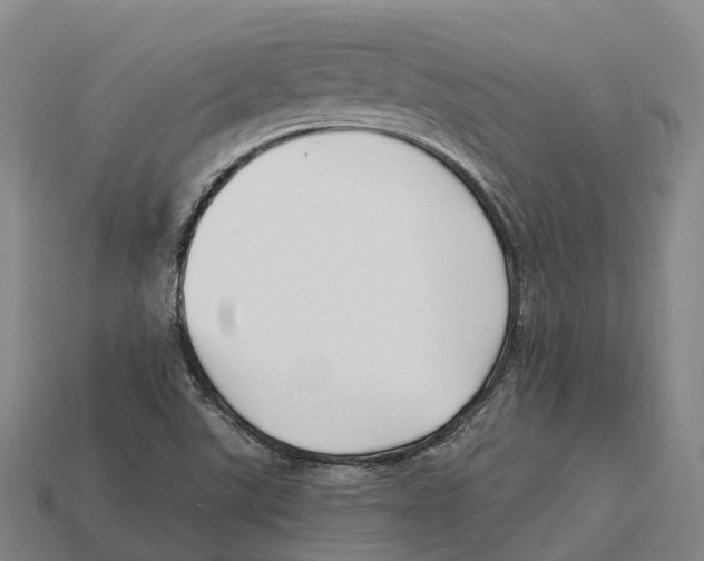 X0000113121507200909251102