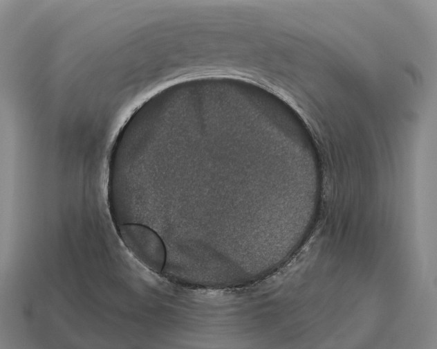 X0000113121508200909251102