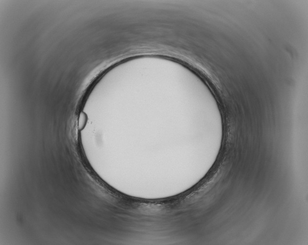 X0000113121509200909251102