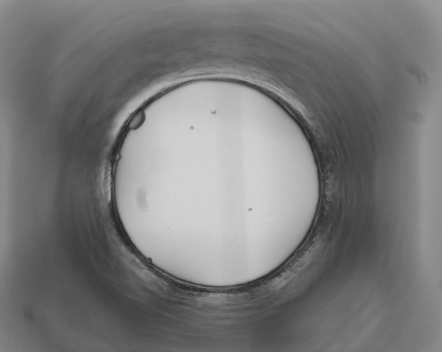 X0000113121510200909251102