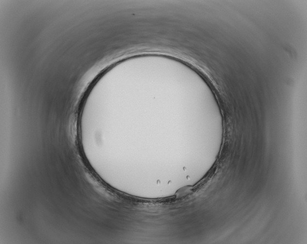 X0000113121511200909251102