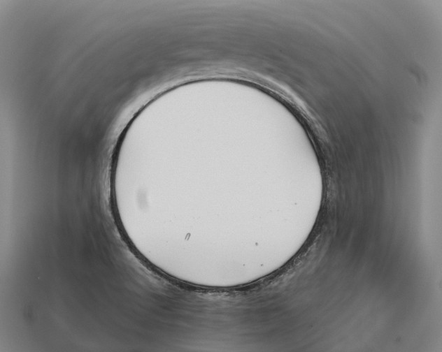 X0000113121512200909251102