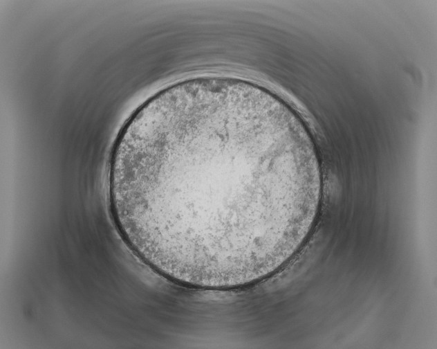X0000113121514200909251102