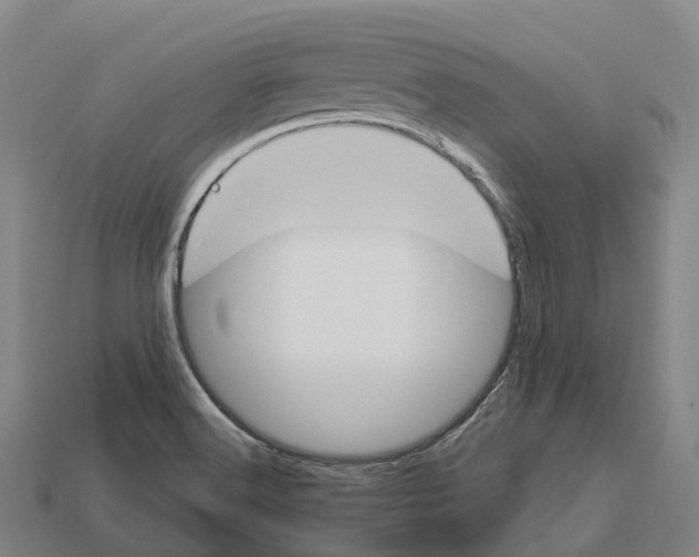 X0000113121516200909251102