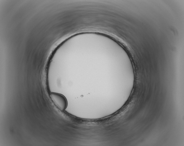 X0000113121517200909251102