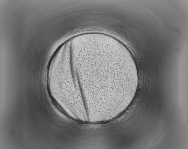 X0000113121519200909251102