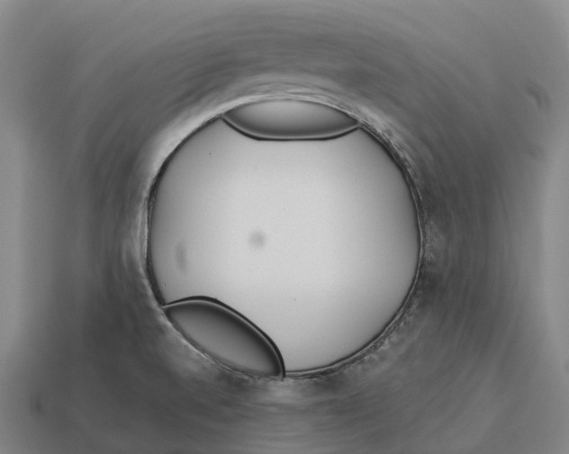 X0000113121520200909251102