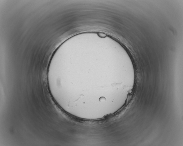 X0000113121521200909251102