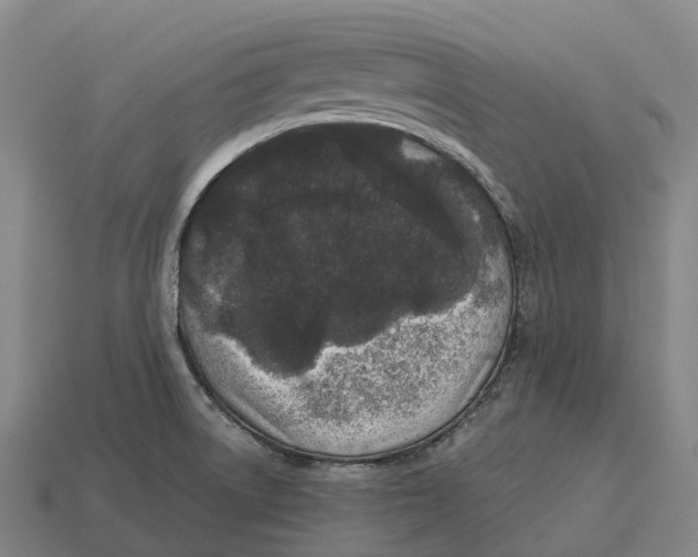 X0000113121522200909251102