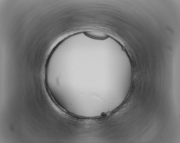 X0000113121523200909251102