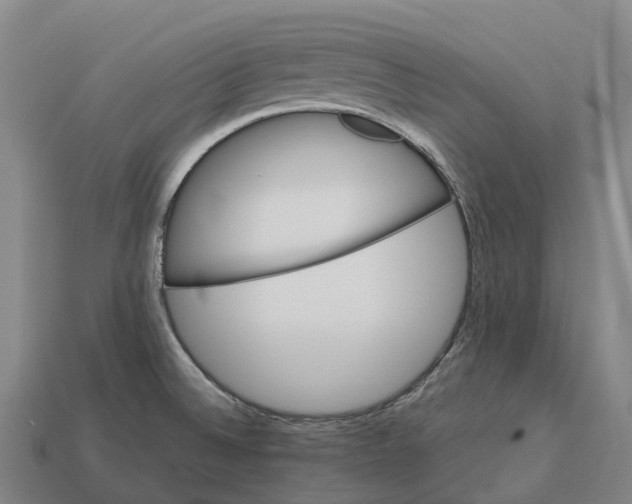 X0000113121524200909251102