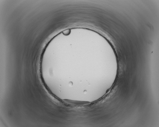 X0000113121525200909251102