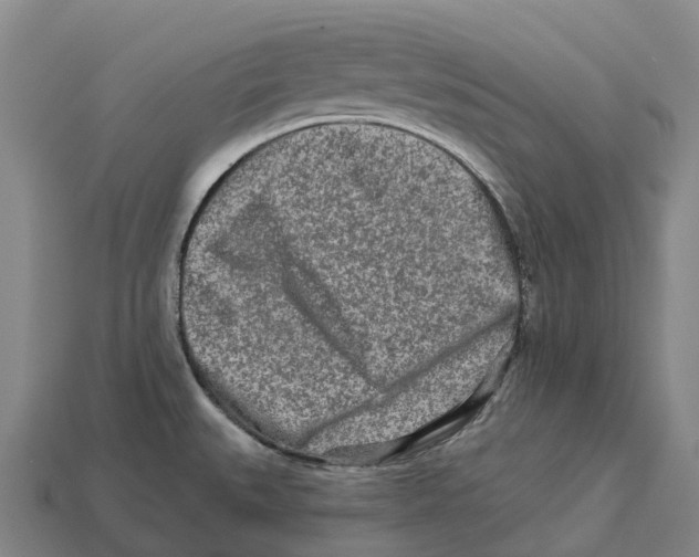 X0000113121527200909251102