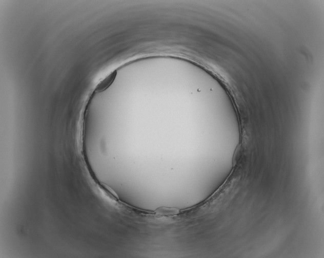 X0000113121528200909251102