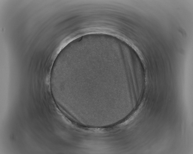 X0000113121529200909251102
