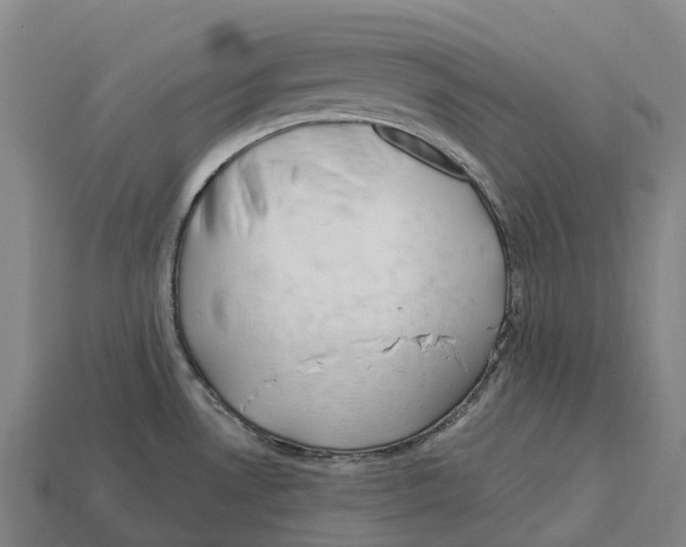 X0000113121530200909251102
