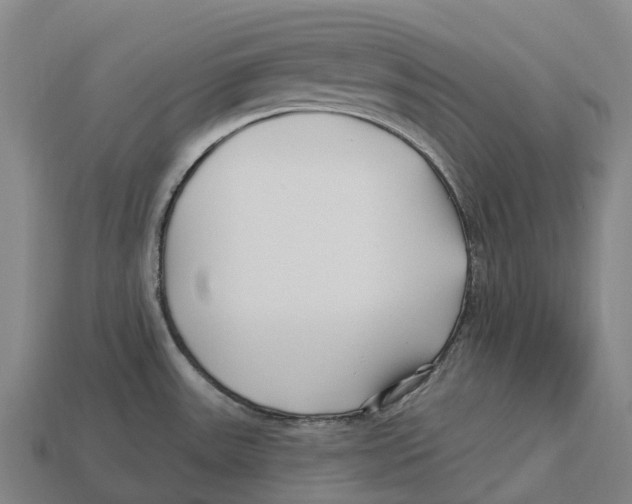 X0000113121531200909251102