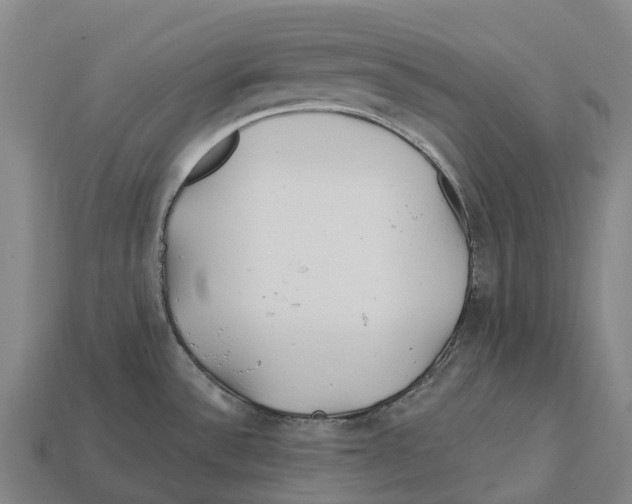 X0000113121532200909251102
