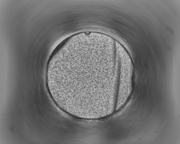 X0000113121533200909251102