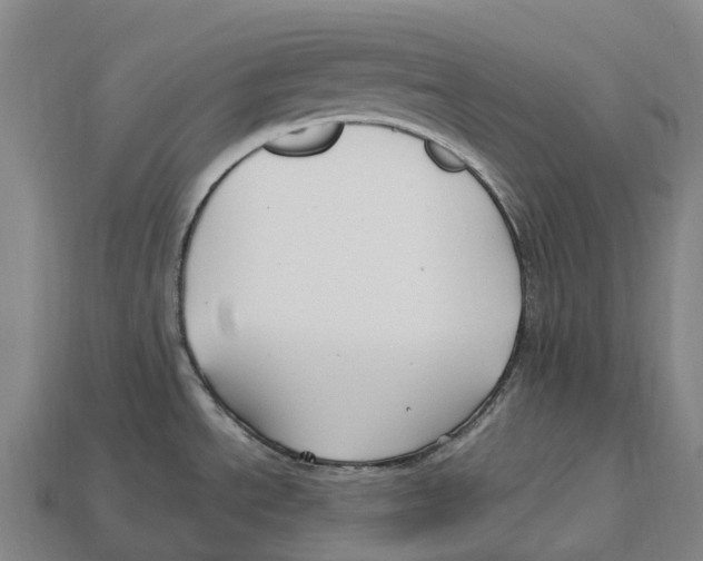 X0000113121534200909251102
