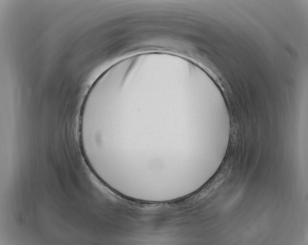 X0000113121535200909251102