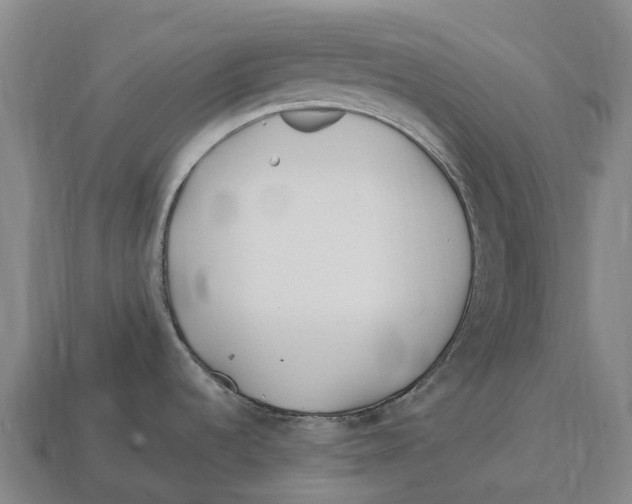 X0000113121536200909251102