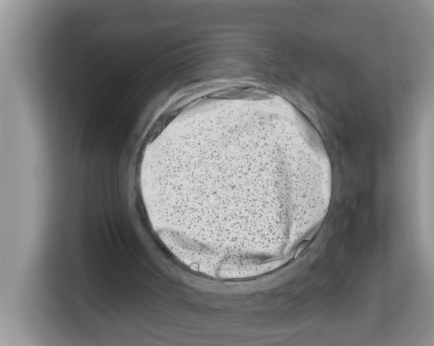 X0000113120002200910091146