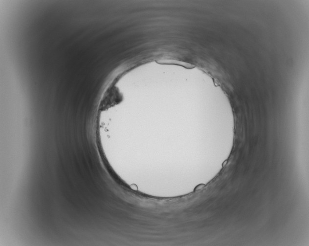 X0000113120003200910091146