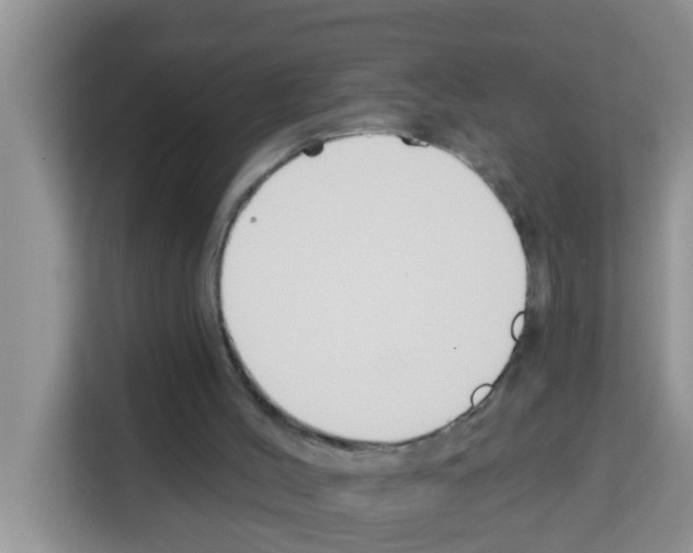 X0000113120004200910091146
