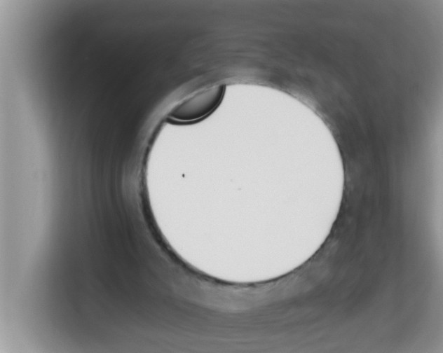 X0000113120007200910091146