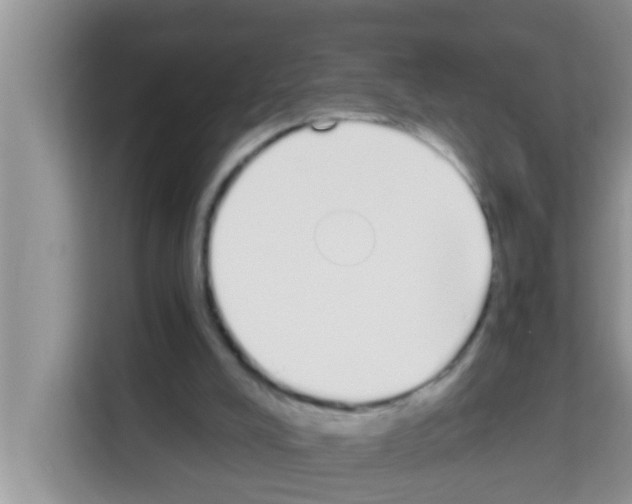 X0000113120008200910091146