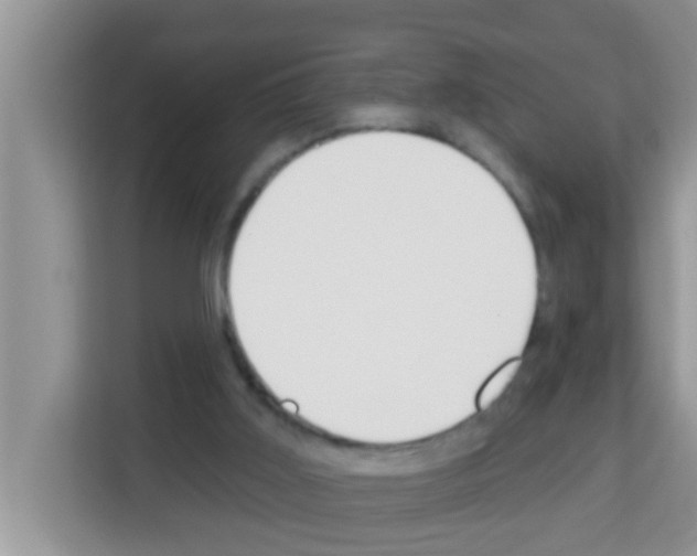 X0000113120011200910091146
