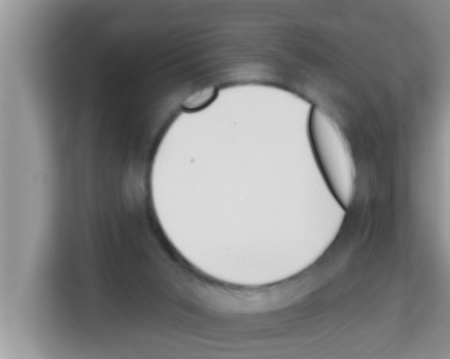 X0000113120015200910091146