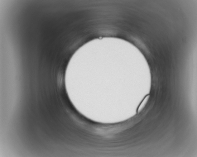 X0000113120021200910091146