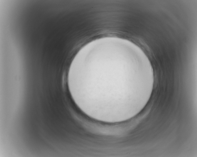 X0000113120024200910091146